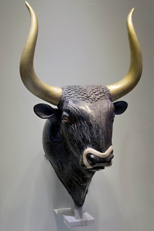 Essa magnífica cabeça de touro foi encontrada nas ruínas do Palácio de Cnossos. Essa é a mesma cabeça que Arthur Evans aparece segurando na primeira foto desse artigo. Cerca de 1550-1500 a.C. Museu Arqueológico de Heraclião, Creta.