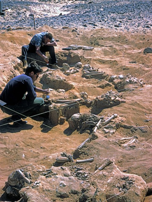 Arqueólogos escavando esqueletos no sítio de Jebel Sahaba. Via Archaeology Magazine.